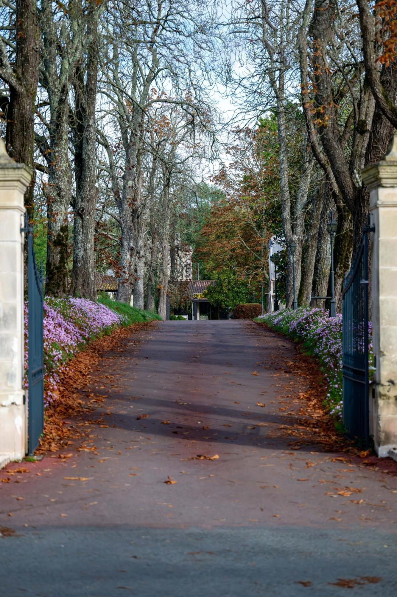 Relais Du Bois Saint Georges - Hotel De Charme 생트 외부 사진